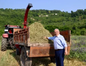 Ordu’da Atıl Arazi Tarıma Kazandırıldı