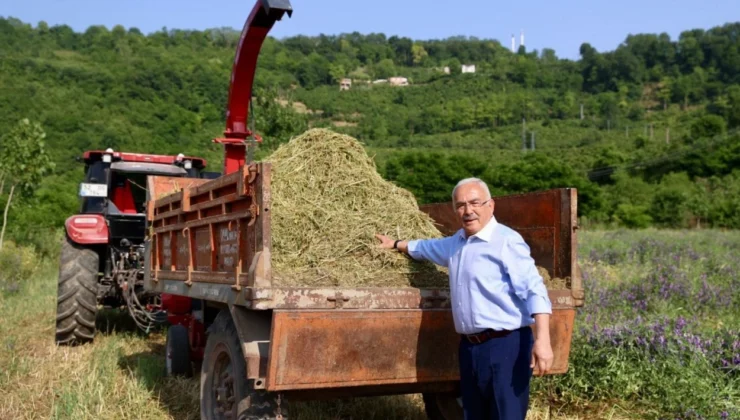 Ordu’da Atıl Arazi Tarıma Kazandırıldı