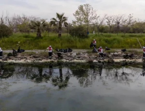 Temiz Körfez Için Gediz Vurgusu