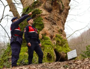 Yalova’da Jandarma Turizm Bölgelerinde Güvenliği Artırdı