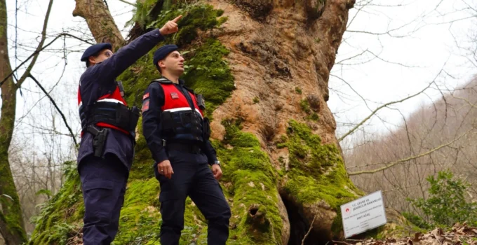 Yalova’da Jandarma Turizm Bölgelerinde Güvenliği Artırdı