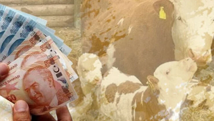 6,4 Milyar Tl’lik Destek Çiftçilerin Hesaplarına Aktarıldı