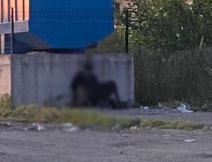 Karadeniz Ereğli’de Hayvana Cinsel İstismar İddiası: 4 Gözaltı, Soruşturma Sürüyor