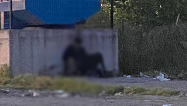 Karadeniz Ereğli’de Hayvana Cinsel İstismar İddiası: 4 Gözaltı, Soruşturma Sürüyor