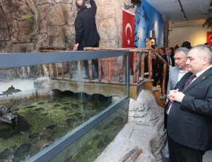 Ankara Keçiören’de Yenilenen Deniz Dünyası Açıldı