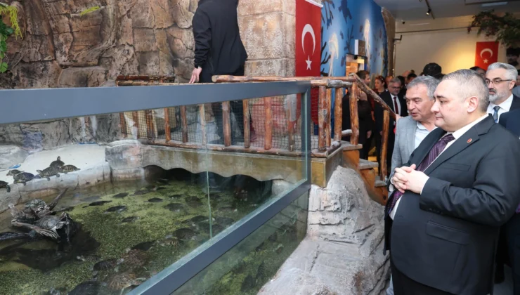 Ankara Keçiören’de Yenilenen Deniz Dünyası Açıldı