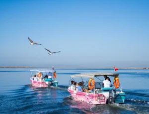 Flamingo Yolu Turları Bayramda Da Devam Ediyor