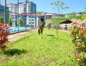 Giresun'Da Yaz Mesaisine Hız Verildi