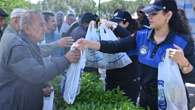 Manisa’da Üreticilere 34 Bin Sebze Fidesi Dağıtıldı