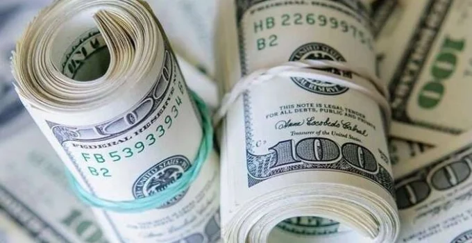 Türkiye’nin Net Uyp'Si -360,8 Milyar Dolar Oldu