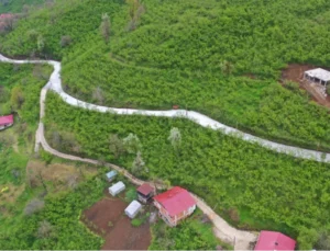 Ordu Kumru’da Beton Yol Çalışması