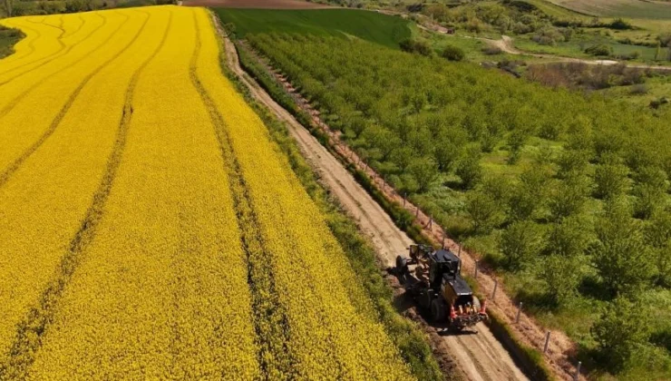 Tarla Yolları Hasada Hazırlanıyor