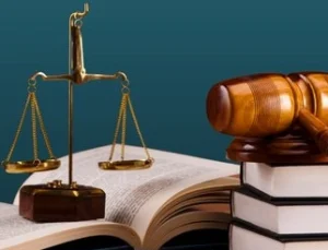Veteriner Sağlık Çalışanları Için “Arazi Tazminatı” Talebi Yargıya Taşındı
