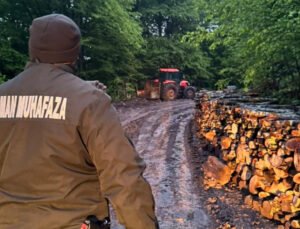 Zonguldak’ta ormanlara 7/24 sıkı denetim