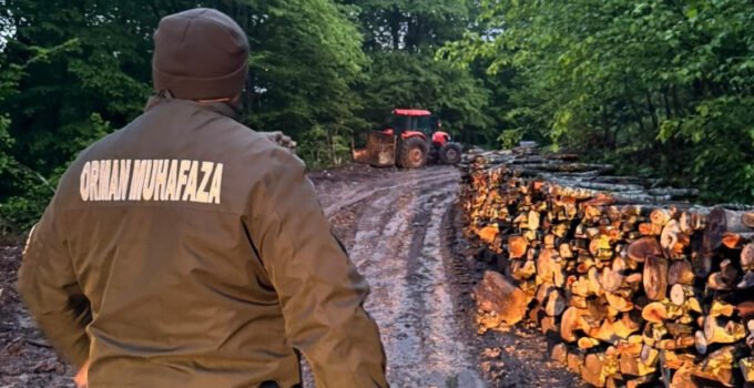 Zonguldak’ta ormanlara 7/24 sıkı denetim