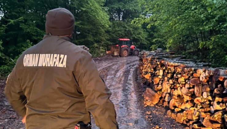 Zonguldak’ta ormanlara 7/24 sıkı denetim