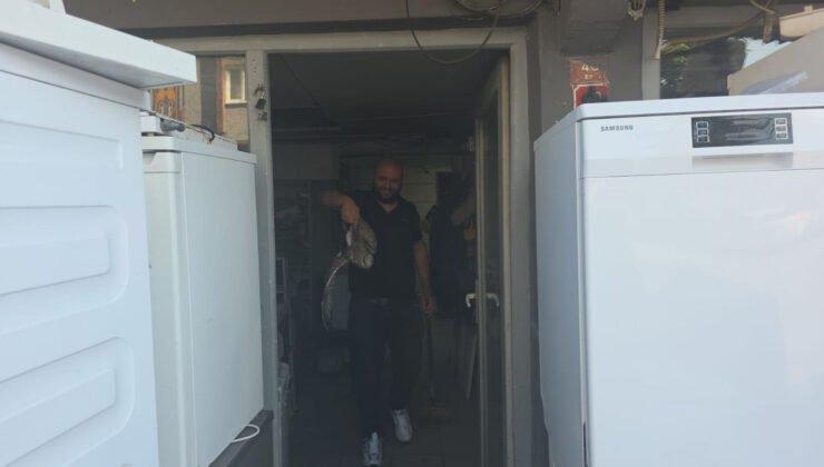 Ereğli’de Teknik Servise Giren Yavru Martı Hareketli Anlar Yaşattı