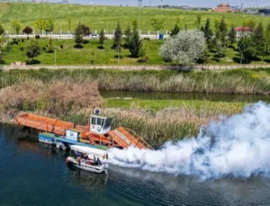 Başkent'Te Haşerelere Geçit Yok