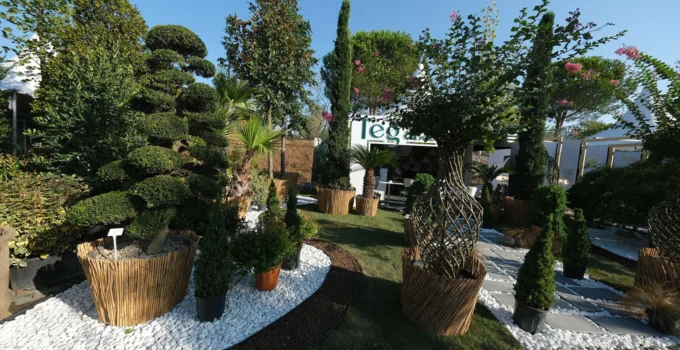 Binlerce Konsept Sakarya’da 9. Kez Vitrine Çıkıyor
