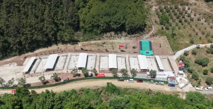 Bursa Gemlik’te Sahipsiz Hayvanlara Modern Yaşam Alanı