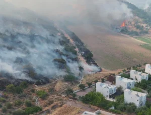 İzmir Dikili’de Otluk Ve Zeytinlik Alanda Çıkan Yangına Müdahale Sürüyor