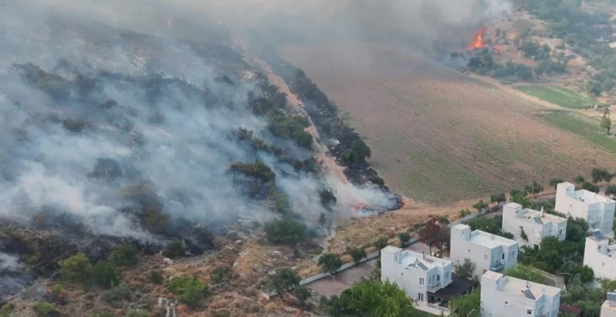 İzmir Dikili’de Otluk Ve Zeytinlik Alanda Çıkan Yangına Müdahale Sürüyor