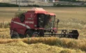 Edirne Keşan'Da Ilk Arpa Hasadı… Çiftçi Fiyattan Dertli