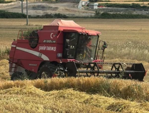 Edirne Keşan'Da Ilk Arpa Hasadı… Çiftçi Fiyattan Dertli