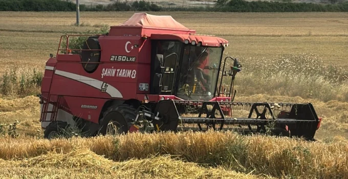 Edirne Keşan'Da Ilk Arpa Hasadı… Çiftçi Fiyattan Dertli