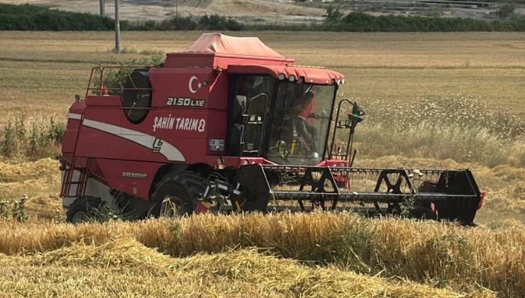 Edirne Keşan'Da Ilk Arpa Hasadı… Çiftçi Fiyattan Dertli
