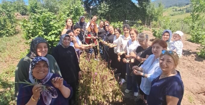 “Gelenekten Geleceğe Salep” Projesiyle Kadın Emeği Toprakta Değere Dönüşecek