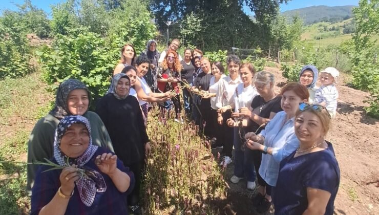 “Gelenekten Geleceğe Salep” Projesiyle Kadın Emeği Toprakta Değere Dönüşecek
