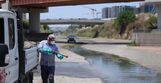 İstanbul Bakırköy'De Vektörle Mücadele Yoğunlaştı
