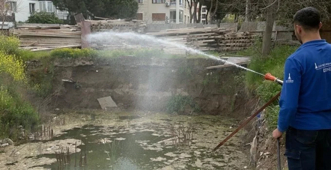 İzmir’de Sivrisineğe Karşı Dev Mücadele