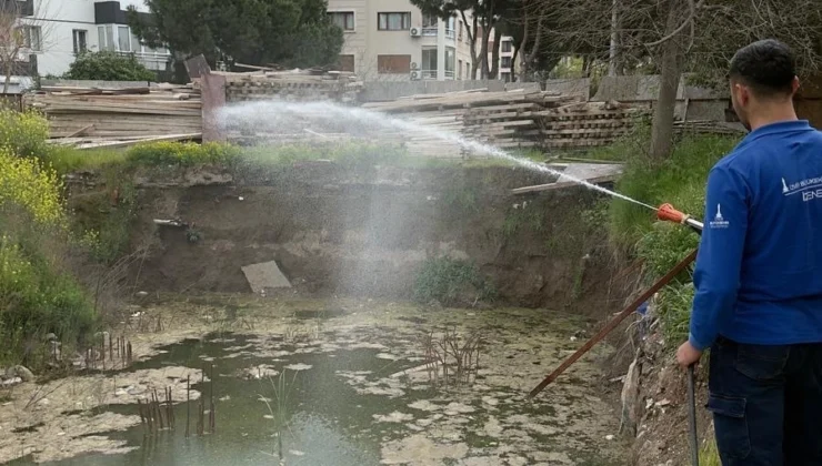 İzmir’de Sivrisineğe Karşı Dev Mücadele
