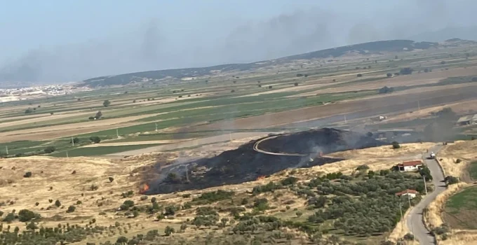 İzmir Foça’da Makilik Alandaki Yangın Kontrol Altında