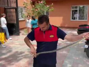 Sağlık ocağına giren yılan korku dolu anlar yaşattı