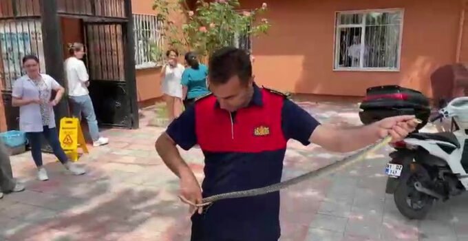 Sağlık ocağına giren yılan korku dolu anlar yaşattı