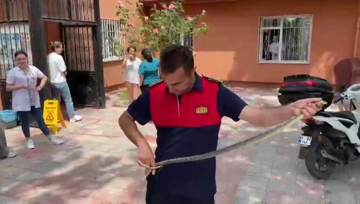 Sağlık ocağına giren yılan korku dolu anlar yaşattı