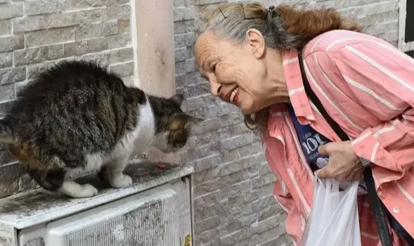 Sokak Hayvanlarının “Panter Emel”I Hayatını Kaybetti
