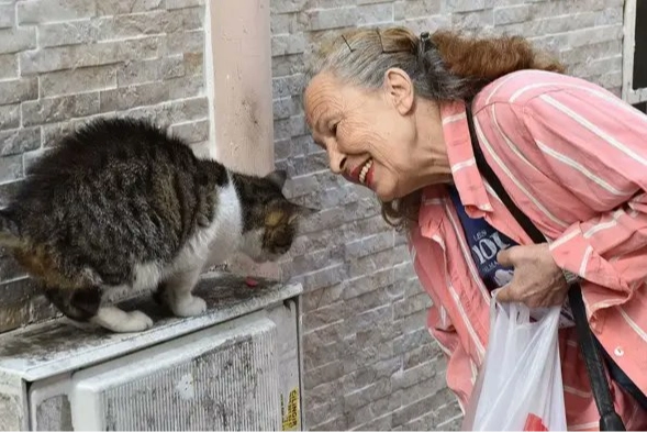 Sokak Hayvanlarının “Panter Emel”I Hayatını Kaybetti