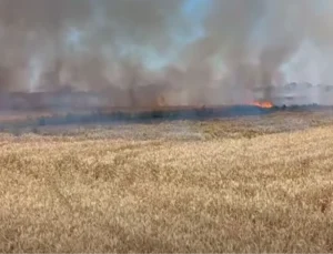 Uzunköprü’de Buğday Yangını Korkuttu