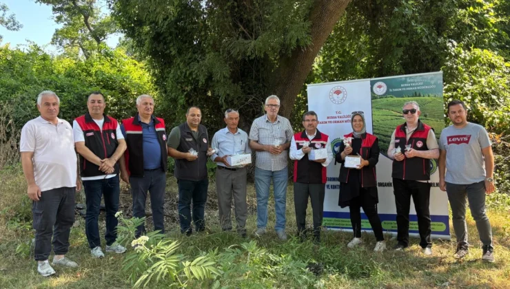 Bursa'Da 5 Bin Samuray Arısı Doğaya Salındı