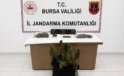 Bursa’da Uyuşturucuya 3 Gözaltı!