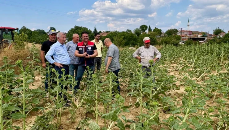 Edirne Keşan’da Fırtına Sonrası Hasar Tespiti Başladı