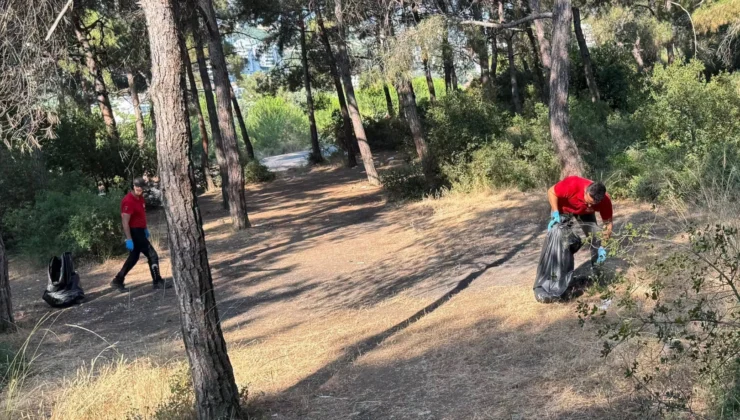 Güzelyalı Çamlıbel’de Orman Yangını Riskine Karşı Temizlik Çalışması