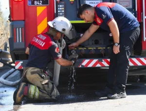 İzmir İtfaiyesi Bukalemunu Hayata Döndürdü