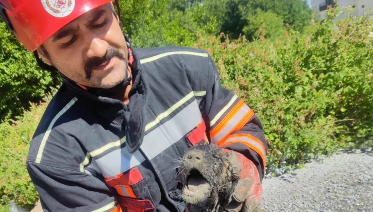 Malatya Itfaiyesinden Can Dosta Yardım Eli