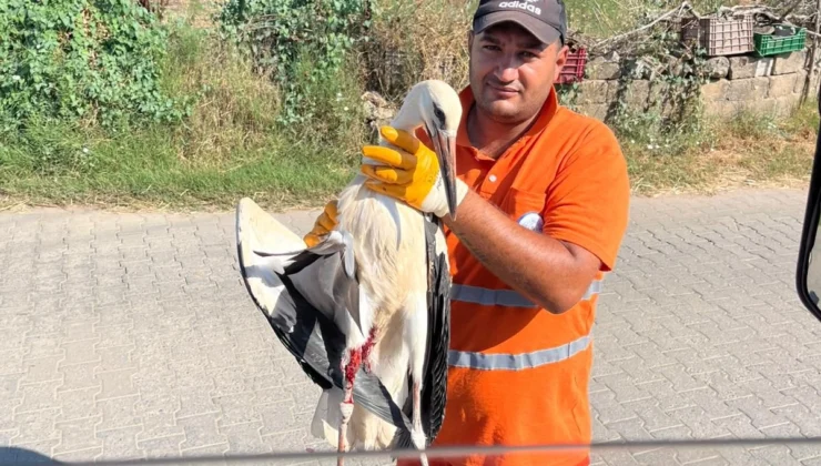 Muğla Milas'Ta Yaralı Leyleğin Imdadına Yetişti