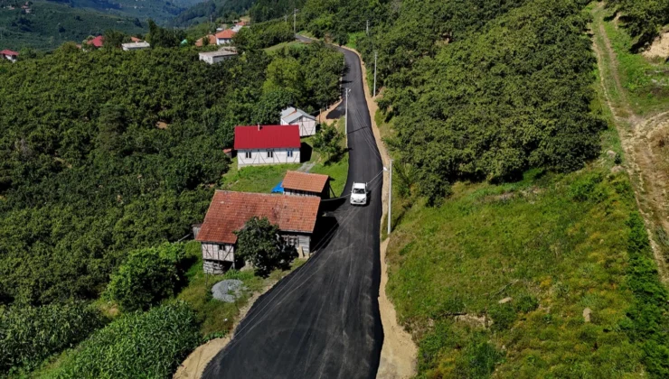 Sakarya'Da Fındık Hasadının Yoğun Olduğu 3 Güzergahda Ulaşım Hamlesi